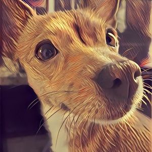 Meet your Posher, Christian